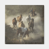 De aandrijfmagneet magneet (Voorkant)