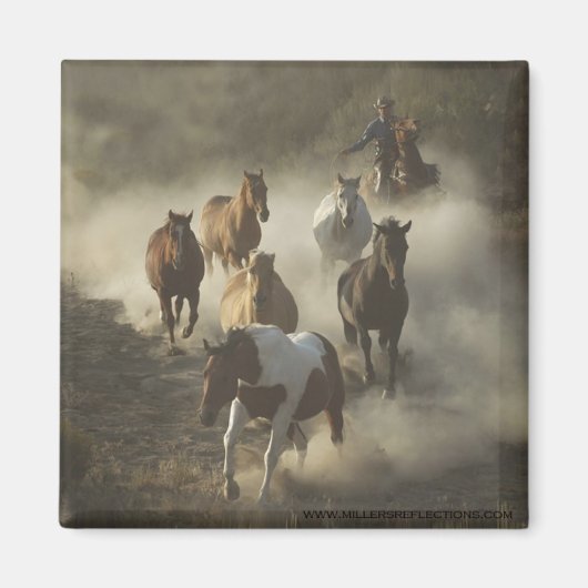 De aandrijfmagneet magneet (Voorkant)