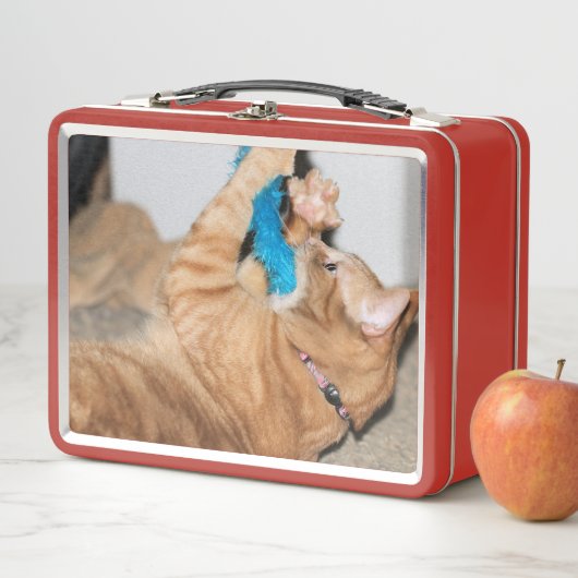 De aanslag is een aanslag (In situ)