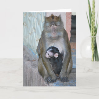 De Aap en het baby van Macaque van de Kaart van de
