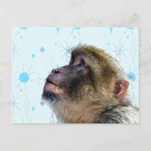 De aap kijkt naar mid century modern behang briefkaart