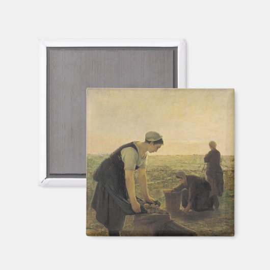 De aardappeloogst magneet (Voorkant / Achterkant)