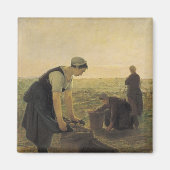 De aardappeloogst magneet (Voorkant)