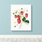 De aardbei van de Roseberry, gegraveerd door Watte Canvas Afdruk (Insitu (Houten vloer))