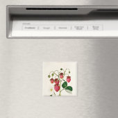 De aardbei van de Roseberry, gegraveerd door Watte Magneet (Insitu (Vaatwasser))