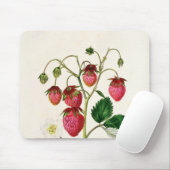 De aardbei van de Roseberry, gegraveerd door Watte Muismat (Met muis)