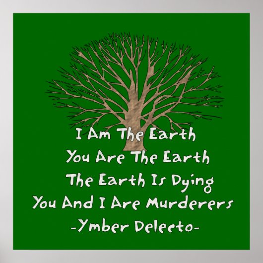 De aarde draait om poster (Voorkant)