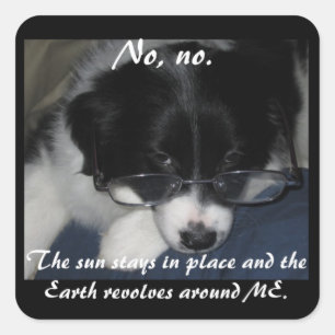 De "aarde draait rond ME" Stickers - Reeks van 20