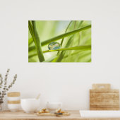 De aarde in een druppel poster (Keuken)