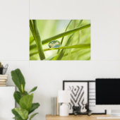 De aarde in een druppel poster (Thuiskantoor)