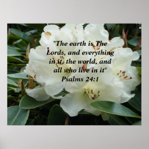 De Aarde is de lords ~Print~ Poster