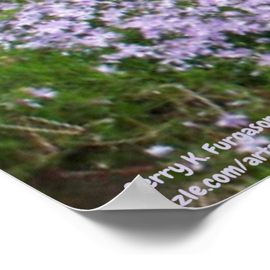 DE AARDE KLEINE STROMEN IN HET EMERSON-POSTER POSTER (Hoek)