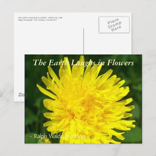 DE AARDE LAUGHES IN DE STROMEN - "DENTS DE LION" BRIEFKAART (Voorkant / Achterkant)