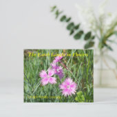 DE AARDE LAUGHES IN DE STROMEN - DIANTHUS BRIEFKAART (Staand voorkant)
