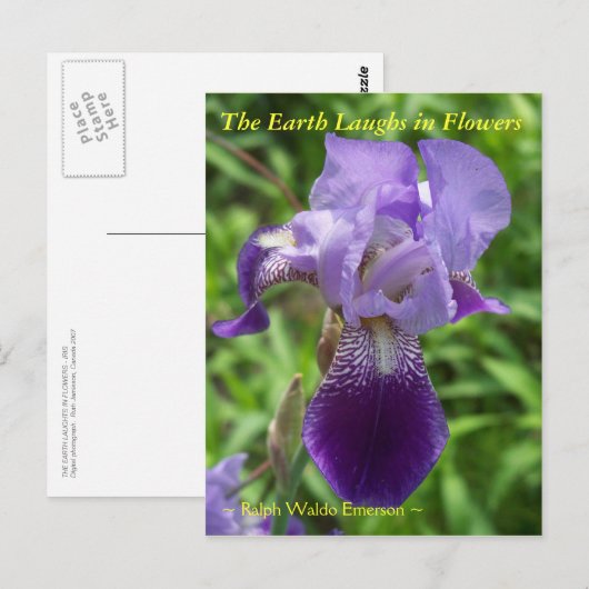 DE AARDE LAUGHES IN DE STROMEN - IRIS BRIEFKAART (Voorkant / Achterkant)