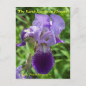 DE AARDE LAUGHES IN DE STROMEN - IRIS BRIEFKAART (Voorkant)