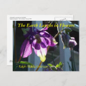 DE AARDE LAUGHES IN DE STROMEN - KOLOMBINE BRIEFKAART (Voorkant / Achterkant)