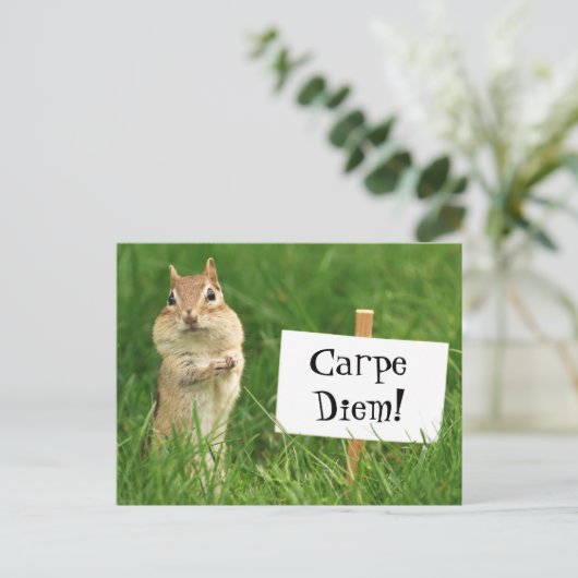 De Aardeekhoorn van Diem van Carpe met het Briefkaart (Staand voorkant)