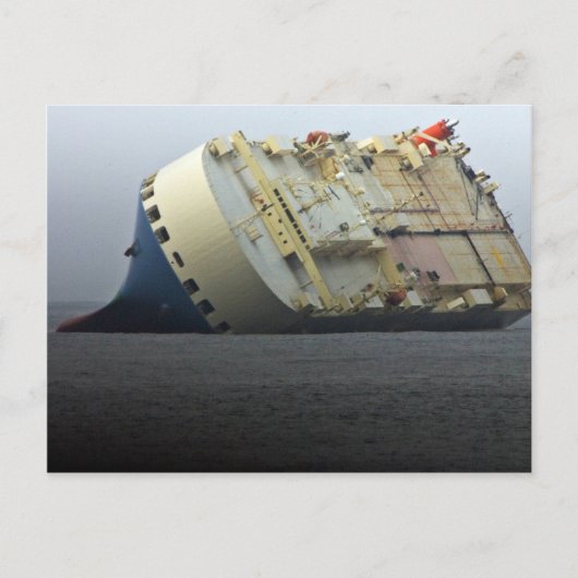 De Aas van de poema Briefkaart (Voorkant)