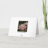 De abstracte Kaart van de Zonnestilstand van de (Achterkant)