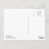De achterdeur briefkaart (Achterkant)