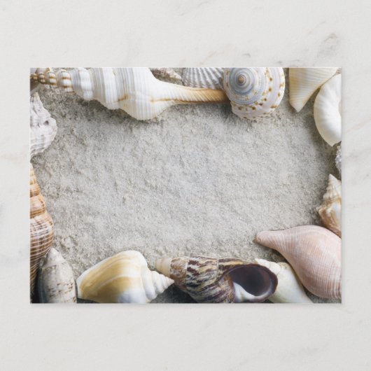De Achtergrond van het Sand van Shell van het zee Briefkaart (Voorkant)