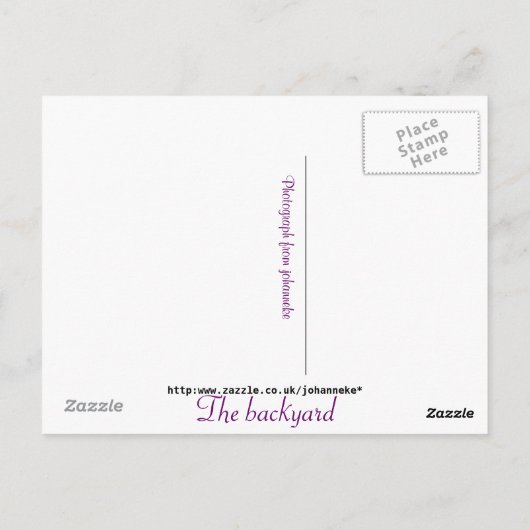 De achtertuin briefkaart (Achterkant)