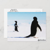 De Adélie Penguin Dancer en Friend Briefkaart (Voorkant / Achterkant)