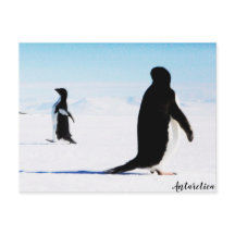 De Adélie Penguin Dancer en Friend