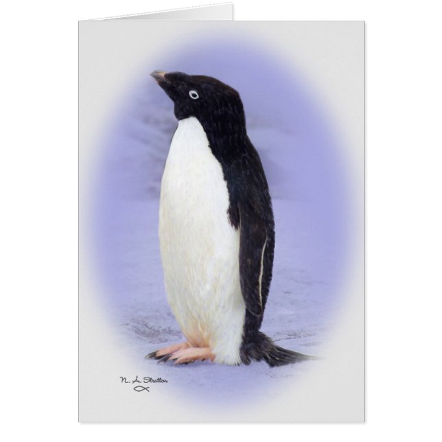 De Ade'lie Penguin-kaart (Voorkant)