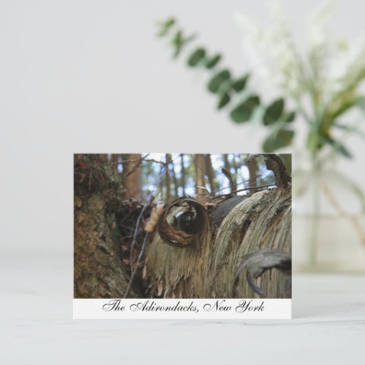 De Adirondacks, New York Briefkaart (Staand voorkant)