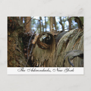 De Adirondacks, New York Briefkaart