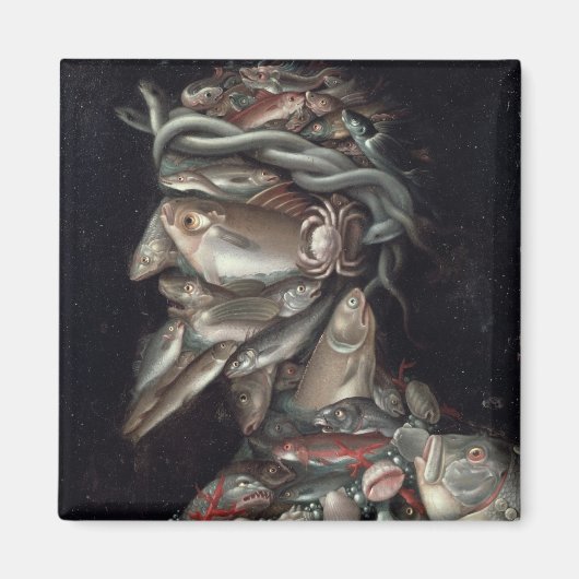 De admiraal magneet (Voorkant)