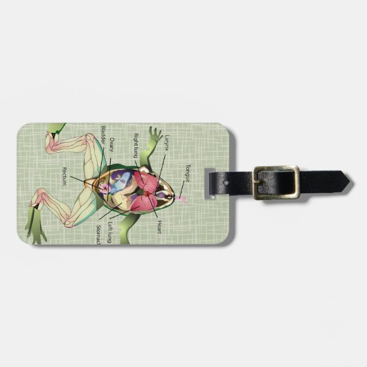 De afbeelding van de anatomie van de kikker bagagelabel (Voorkant horizontaal)