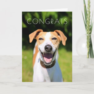 De Afbeeldingen van Getty het Lachen Hond Kaart