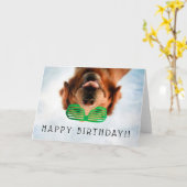 De Afbeeldingen van Getty | Hond met Glazen Kaart (Gele Bloem)