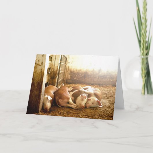 De Afbeeldingen van Getty | Nestelende Varkens Kaart (Voorkant)
