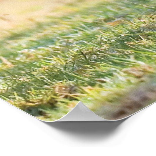 De afdruk poster (Hoek)