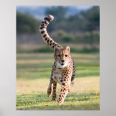 De afdruk poster (Voorkant)