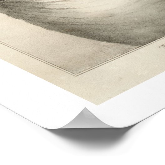 De  afdruk van favoriete katten poster (Hoek)