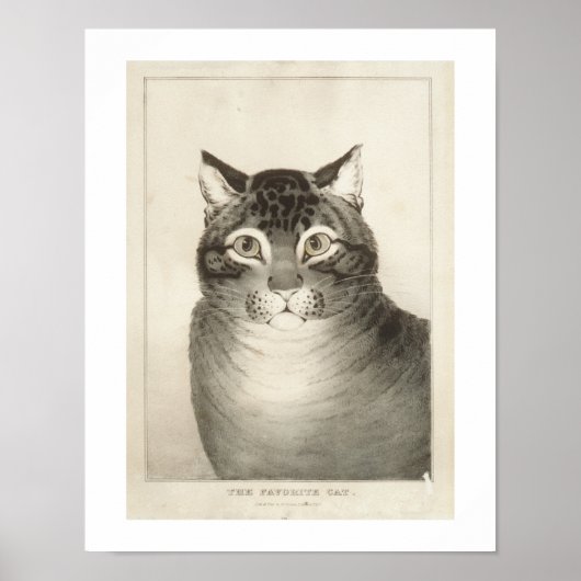 De  afdruk van favoriete katten poster (Voorkant)
