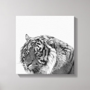 De Afrikaanse dierlijke zwart-witte foto van de Canvas Afdruk