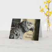 De Afrikaanse Grijze Papegaai van de Kongo met Kaart (Gele Bloem)