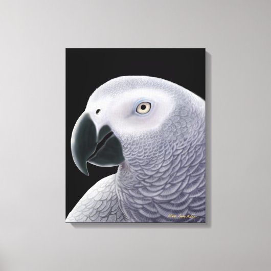 De Afrikaanse grijze papegaai verpakt canvas Afdruk (Voorkant)