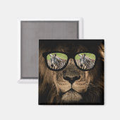 De Afrikaanse leeuw jaagt op de zebra Magneet (Voorkant / Achterkant)