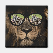 De Afrikaanse leeuw jaagt op de zebra Magneet (Voorkant)