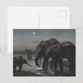 De Afrikaanse olifant van Joseph Wolf Briefkaart (Voorkant / Achterkant)