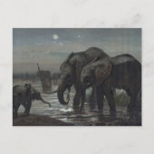 De Afrikaanse olifant van Joseph Wolf Briefkaart (Voorkant)