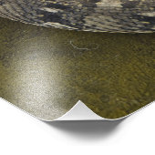 De Afrikaanse Puff-adder Bitis van Snake Charmer Foto Afdruk (Hoek)