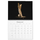 De Afrikaanse servale kat-kalender Kalender (Feb 2027)